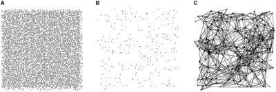 The storage capacity of a directed graph and nodewise autonomous, ubiquitous learning